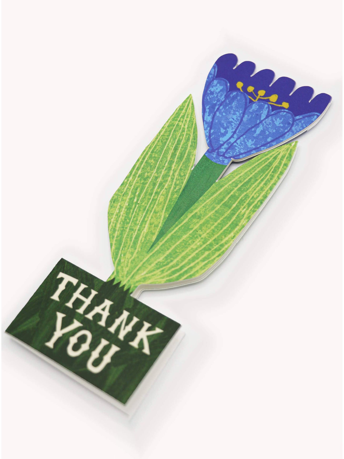 Thank You Tulip