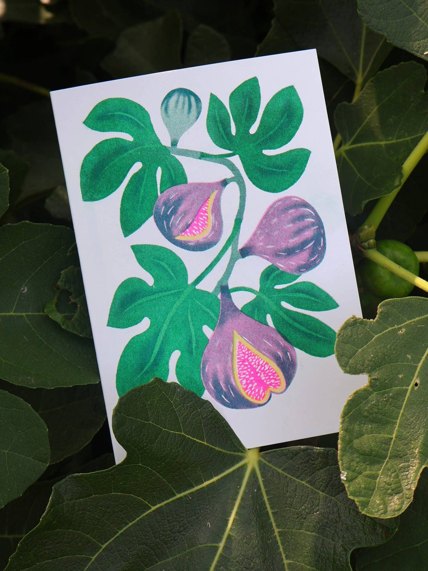 Fig Riso Card