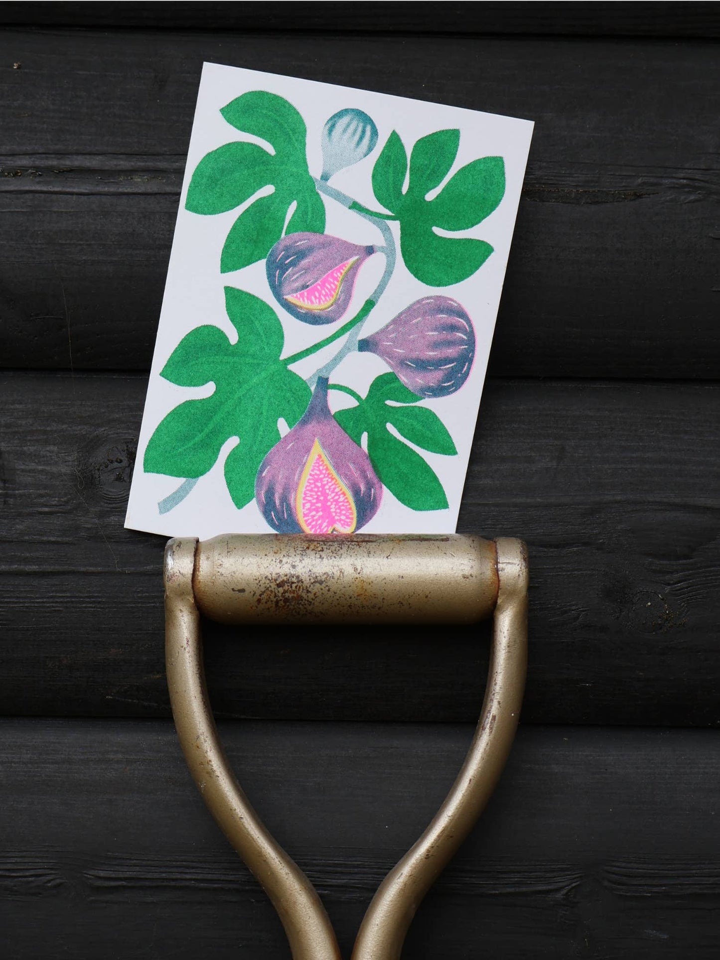 Fig Riso Card