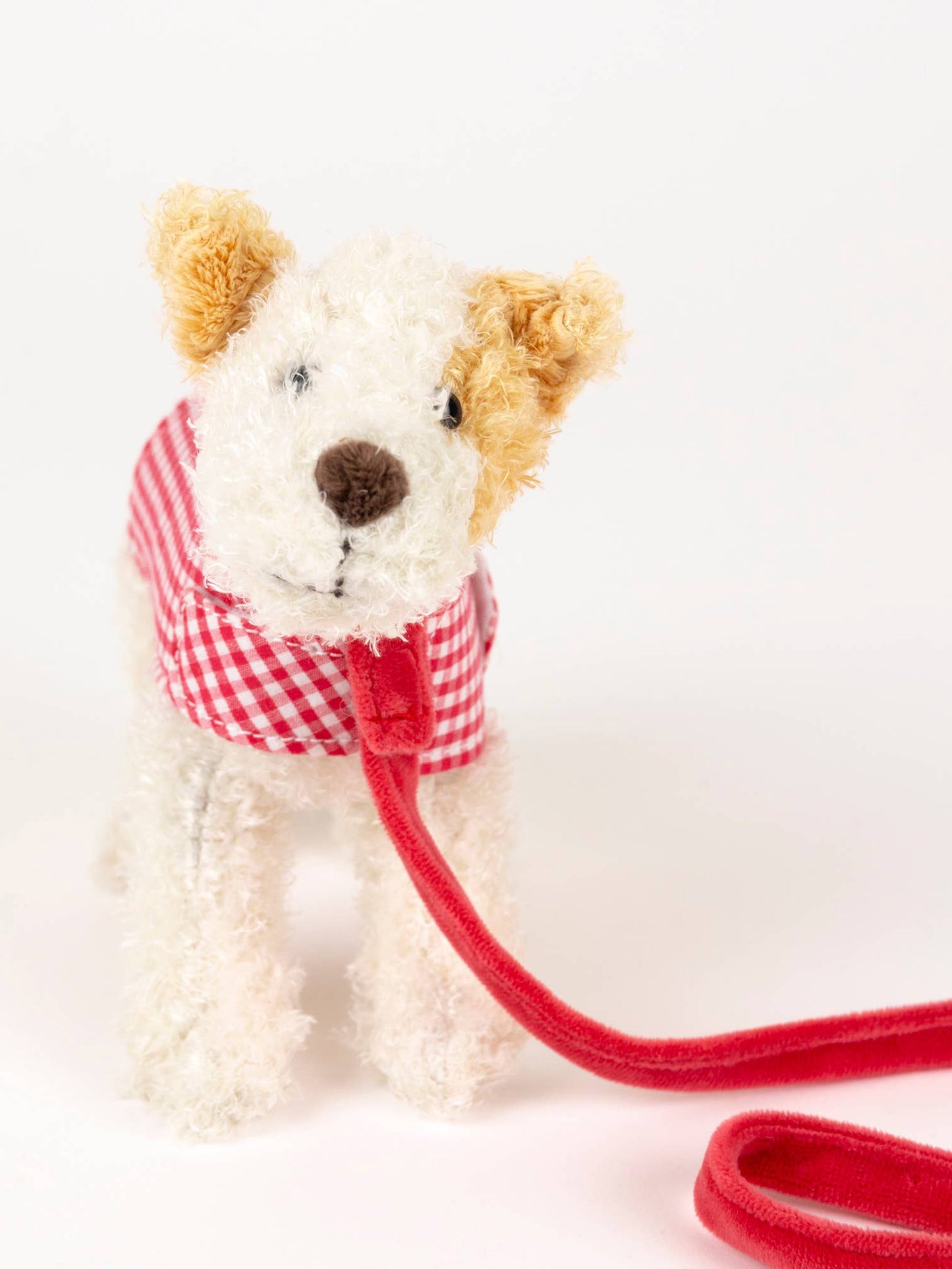 Eliot with Leash & Coat