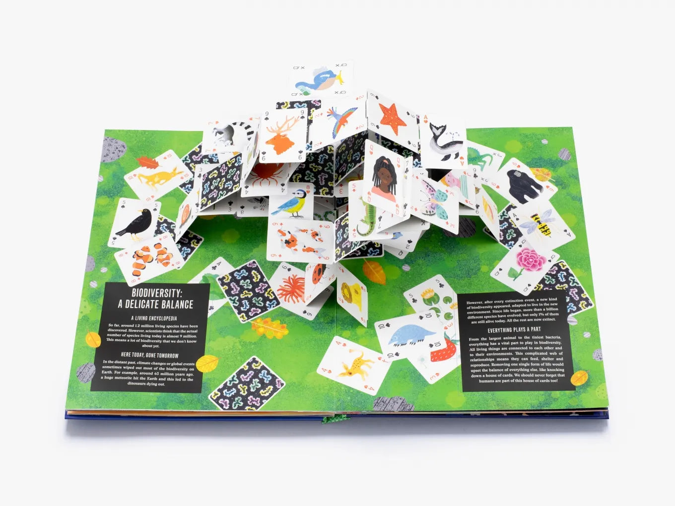Pop Up Earth