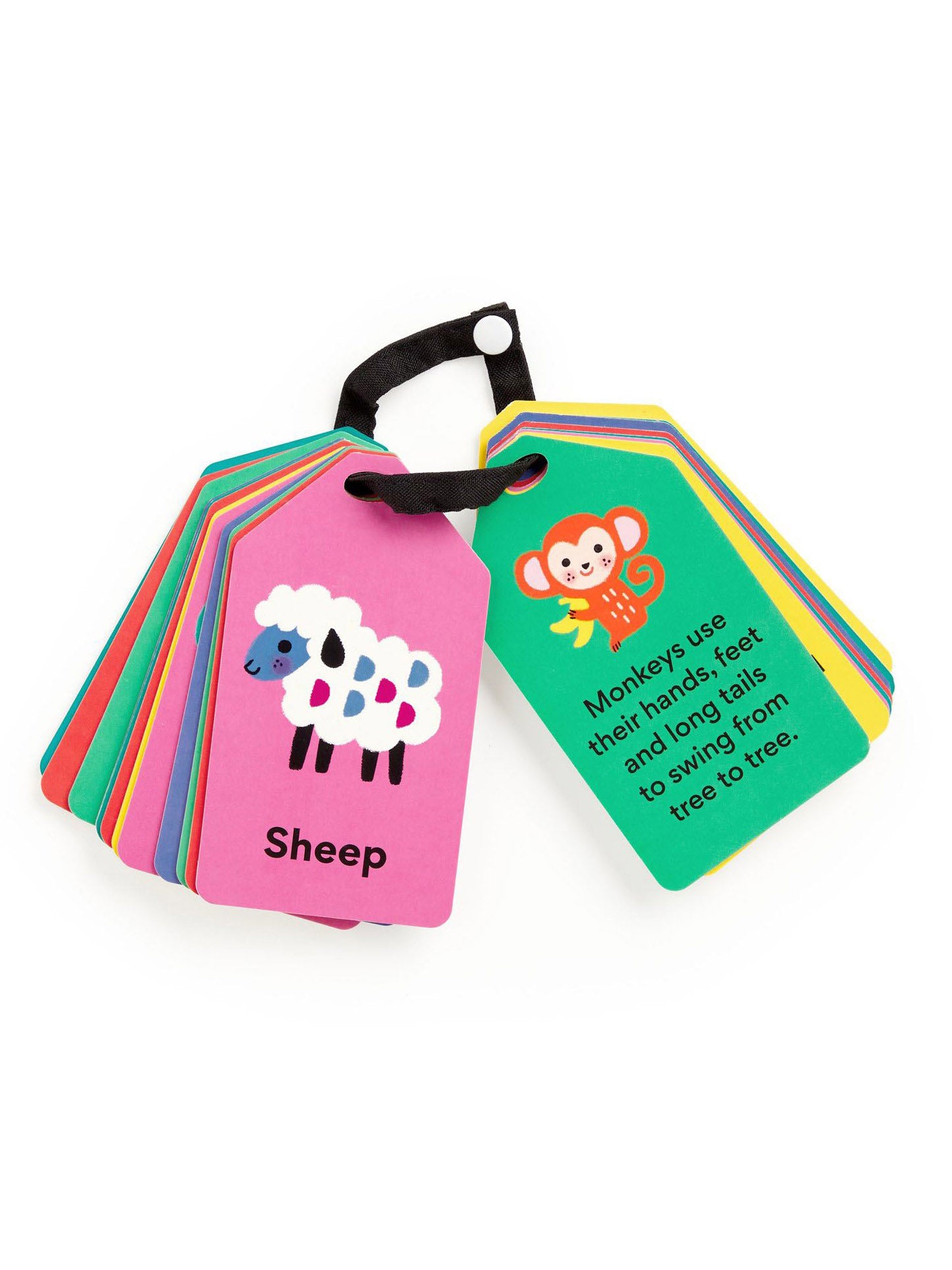 My First Animals Ring Flash Cards
