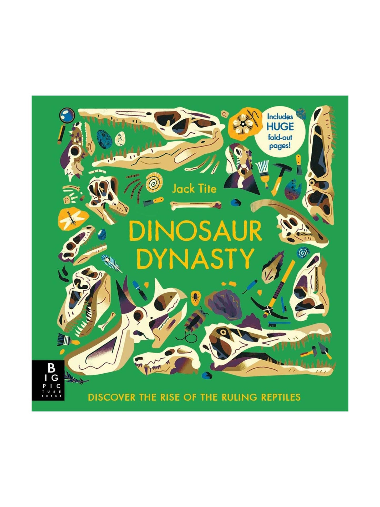 Dinosaur Dynasty
