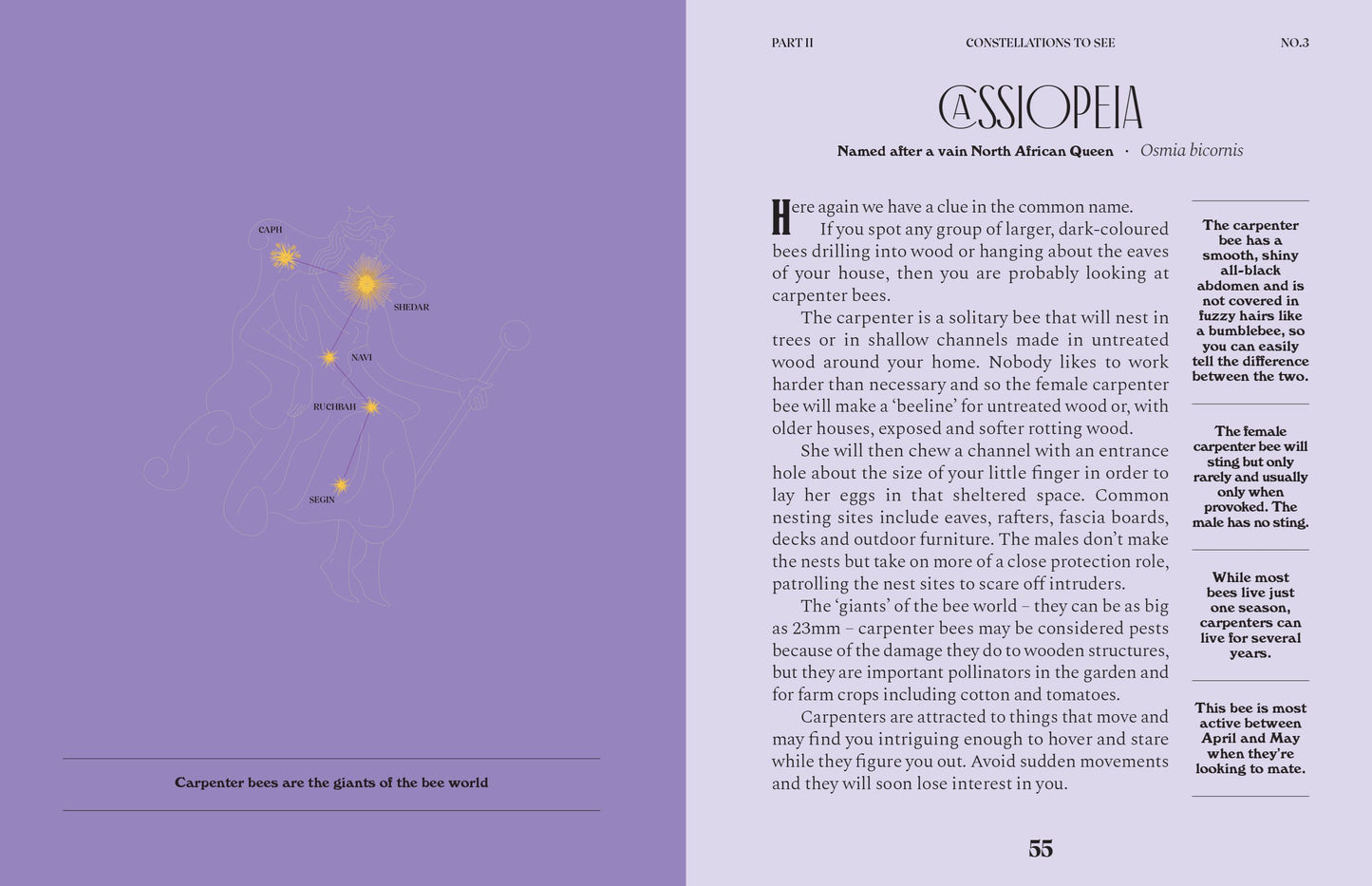 Constellations: A Guide For The Curious