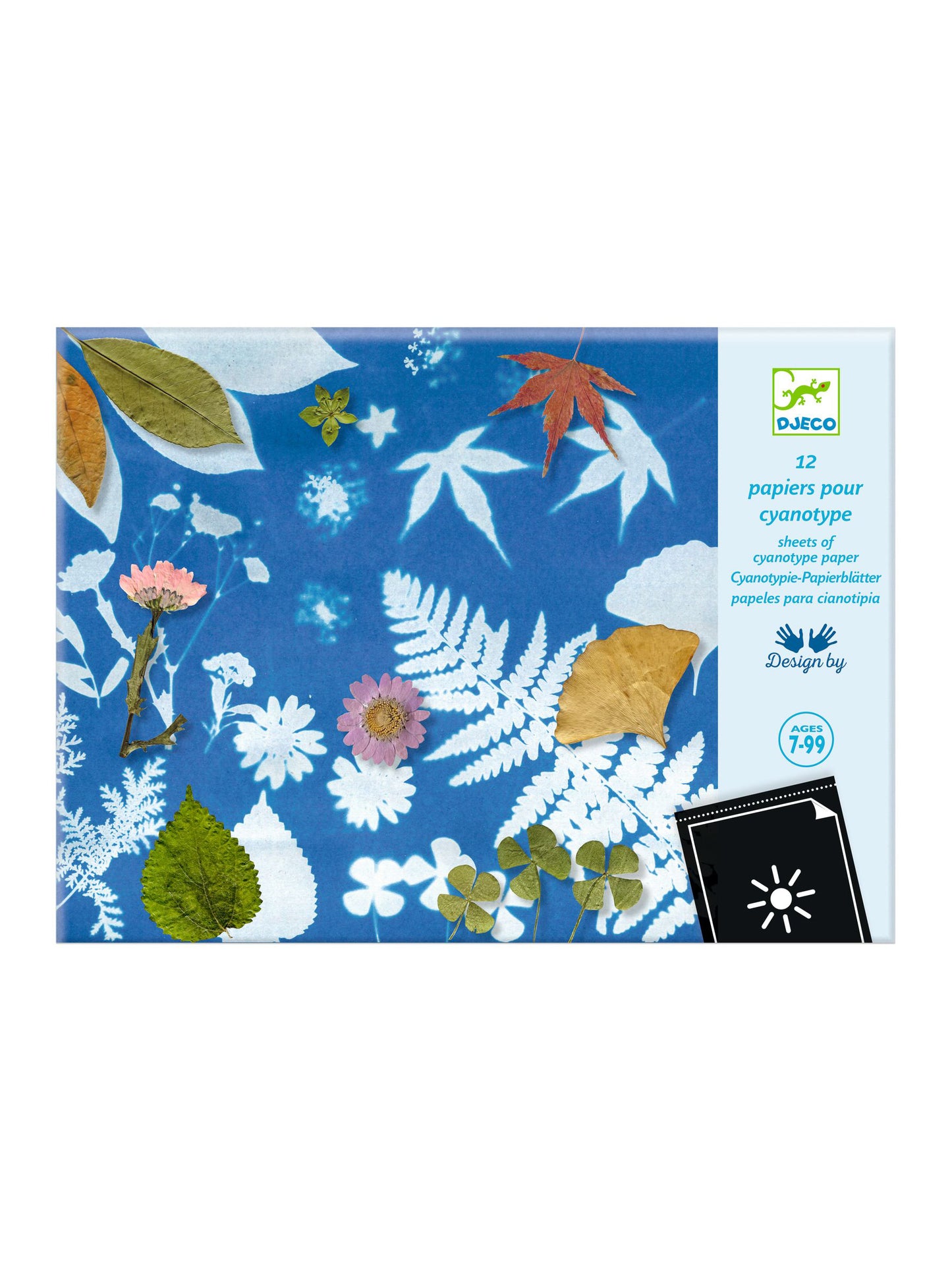 Cyanotype Paper