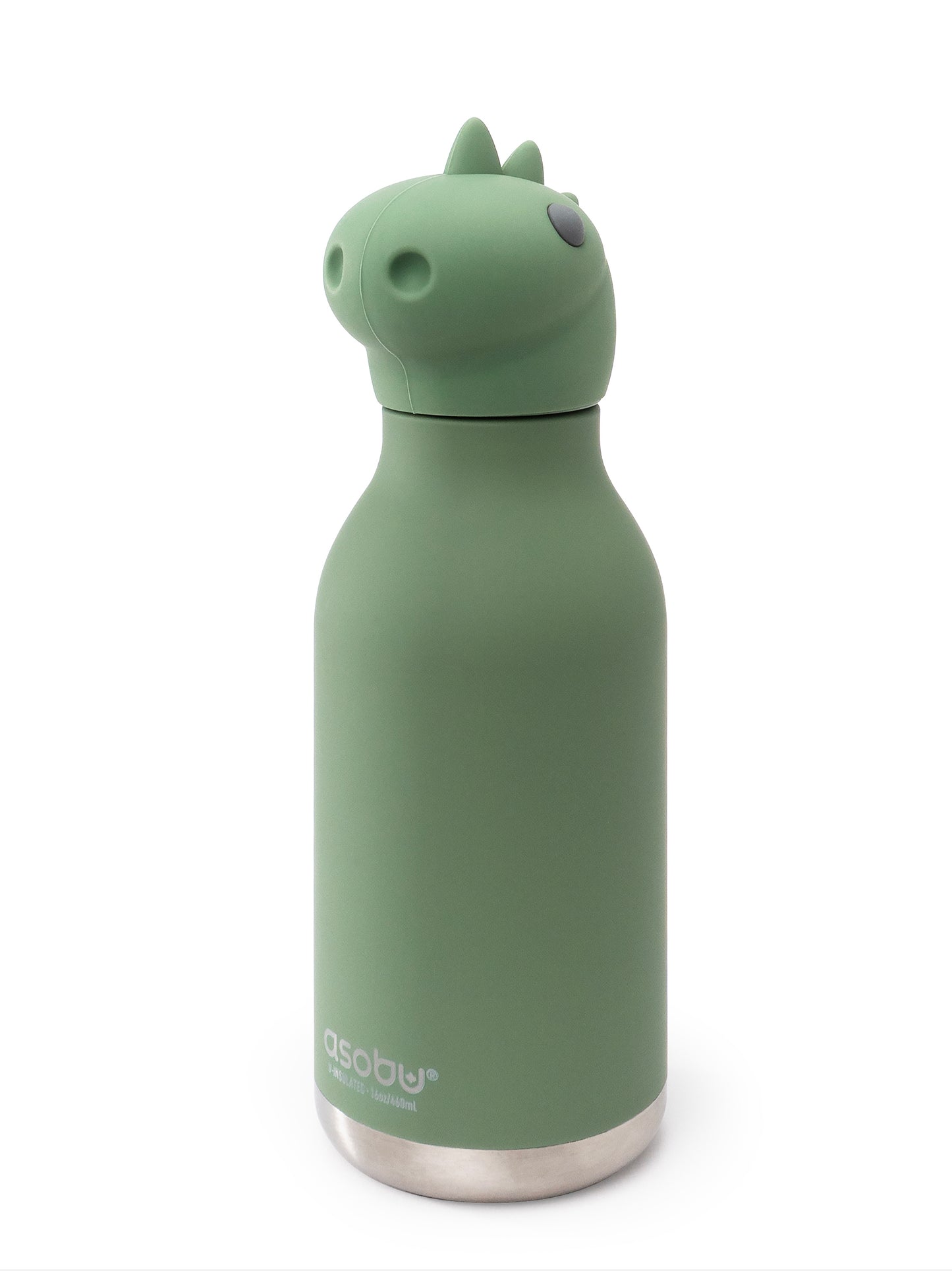 Dinosaur Bestie Water Bottle