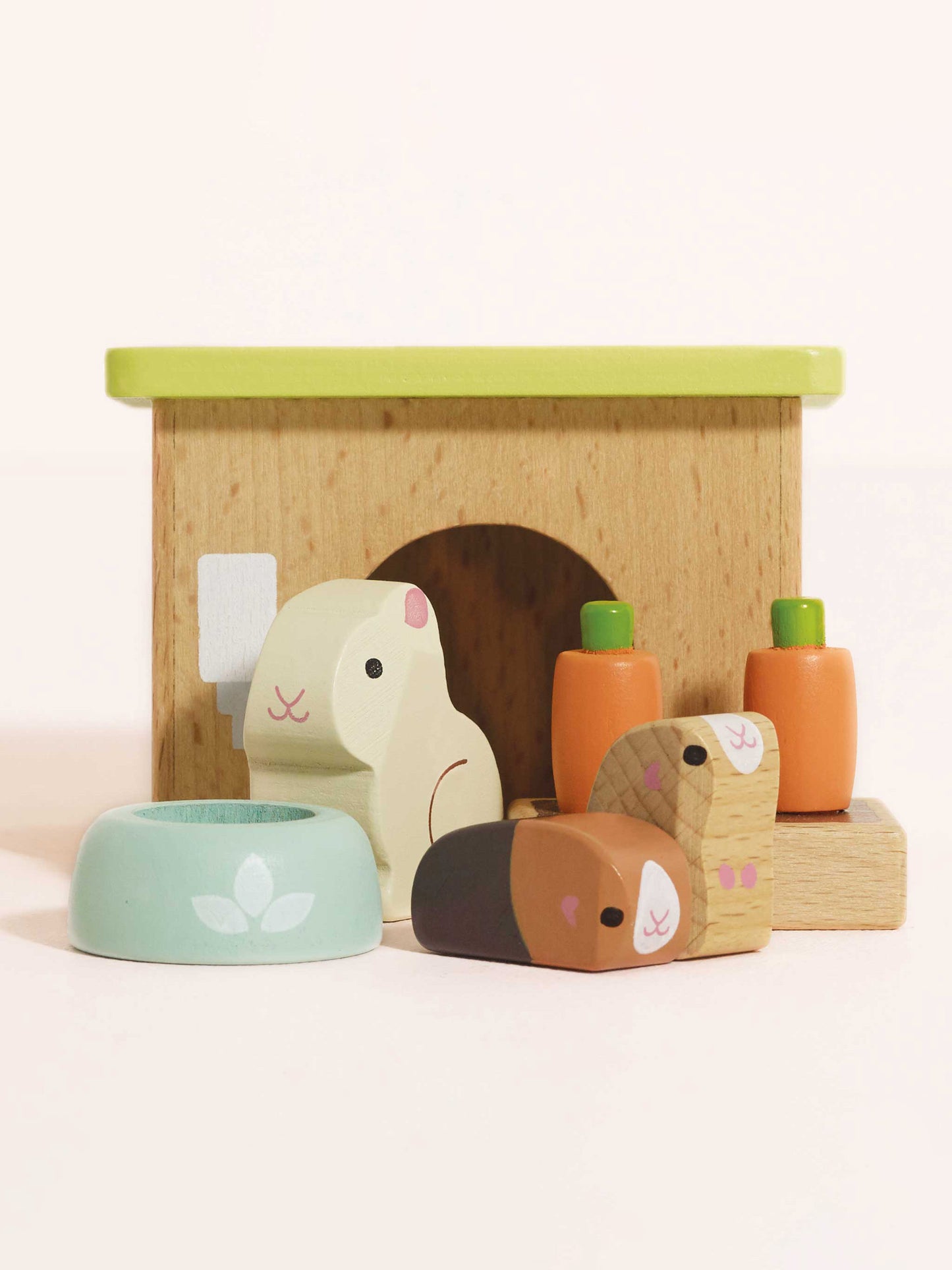 Bunny & Guinea Pig Pet Set