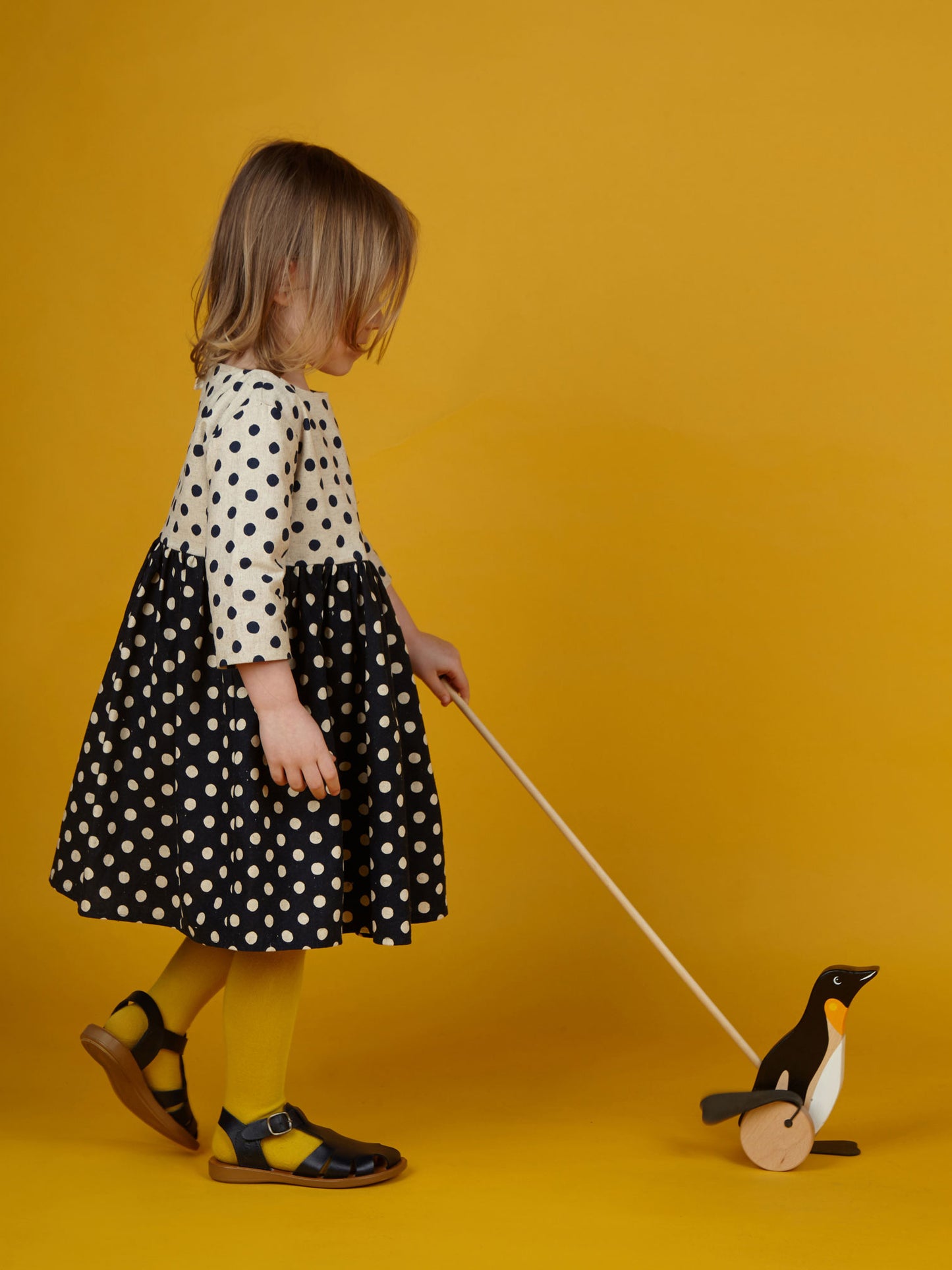Wooden Push Along Penguin