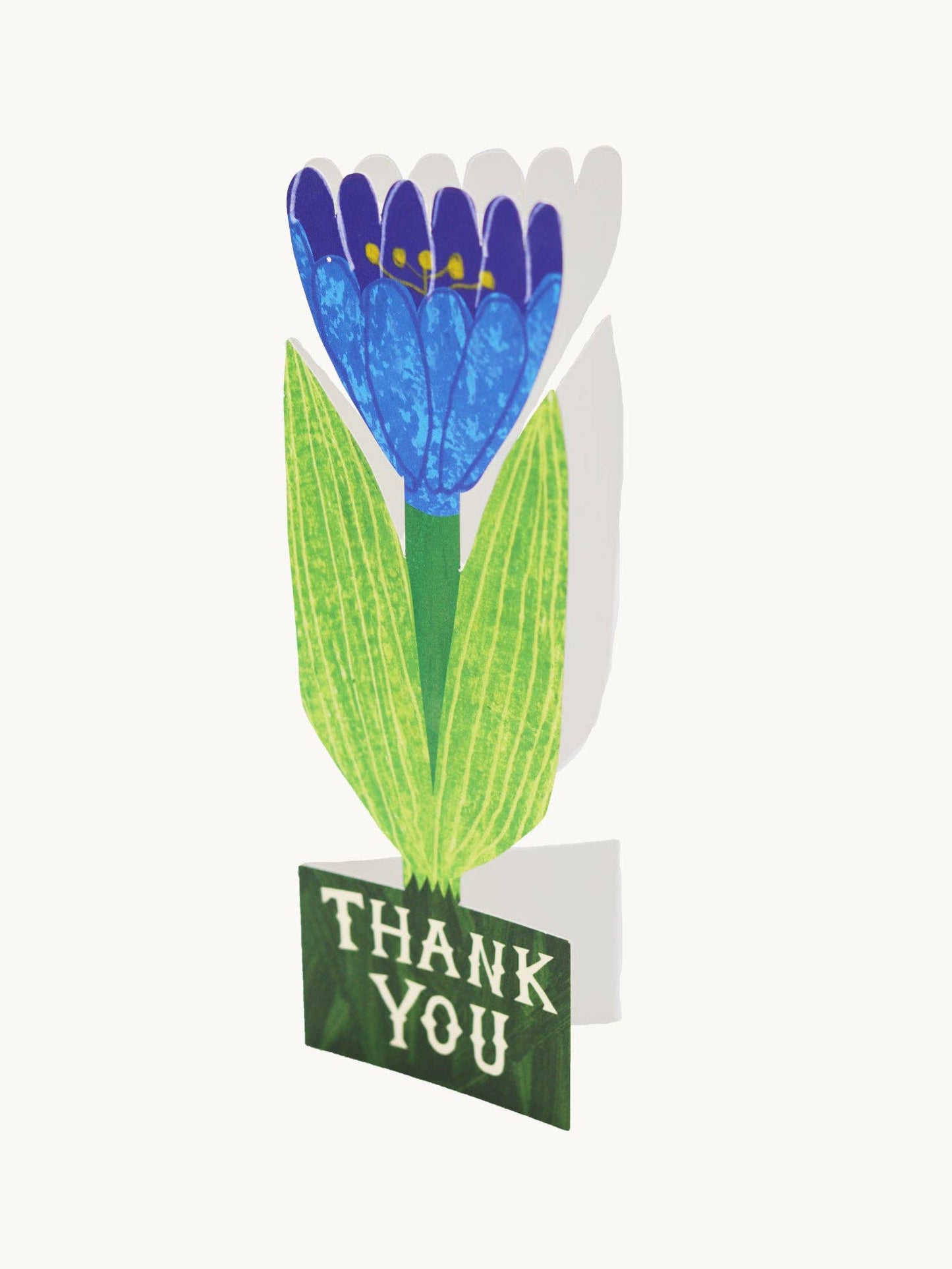 Thank You Tulip