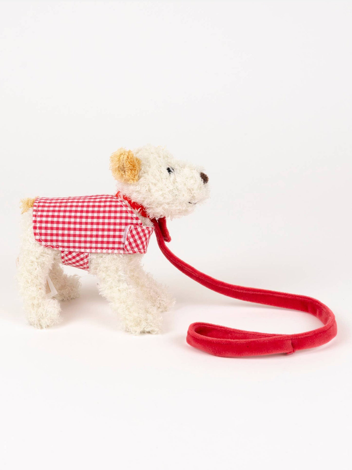 Eliot with Leash & Coat