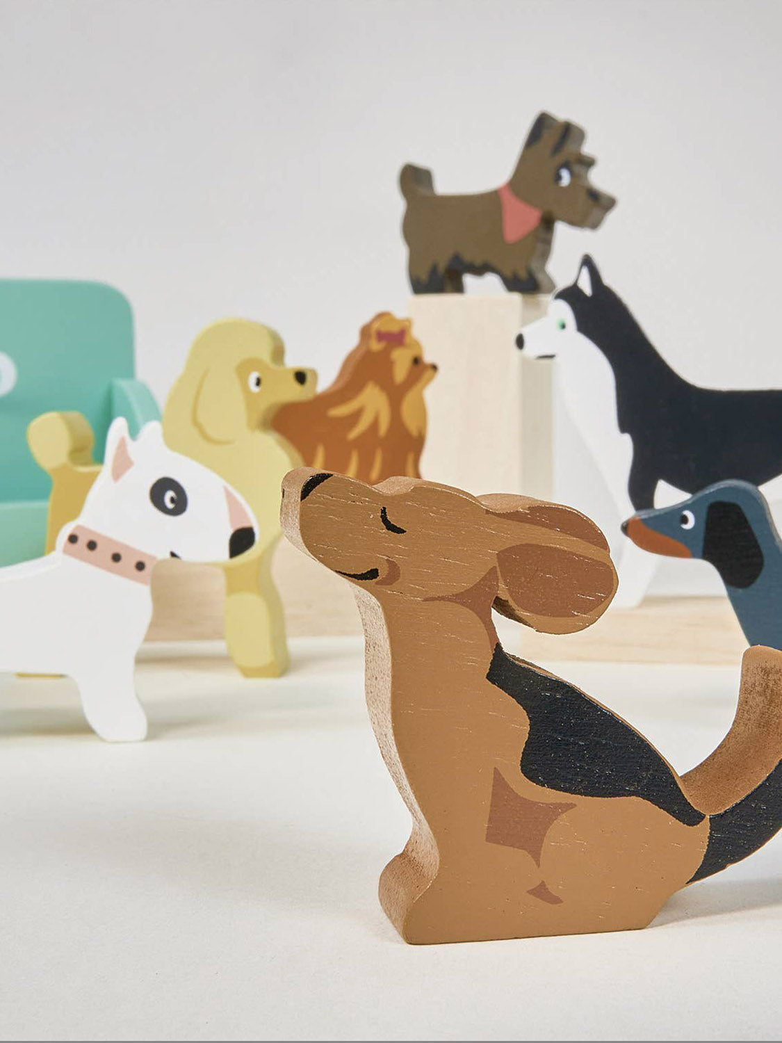 Waggy Tails Dog Salon