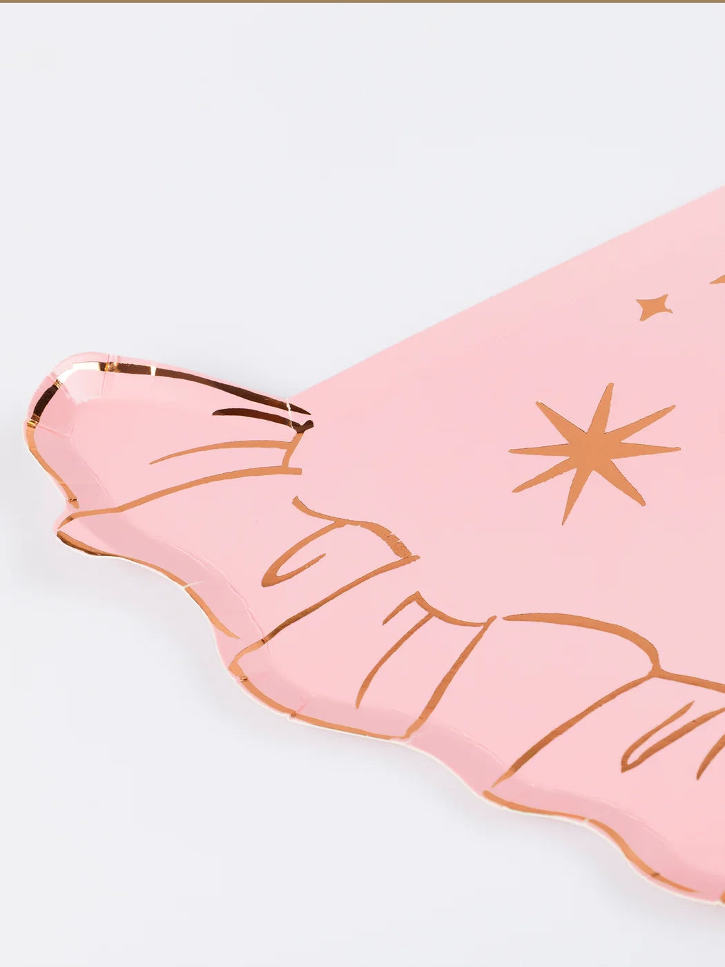 Pink Witch Hat Plates